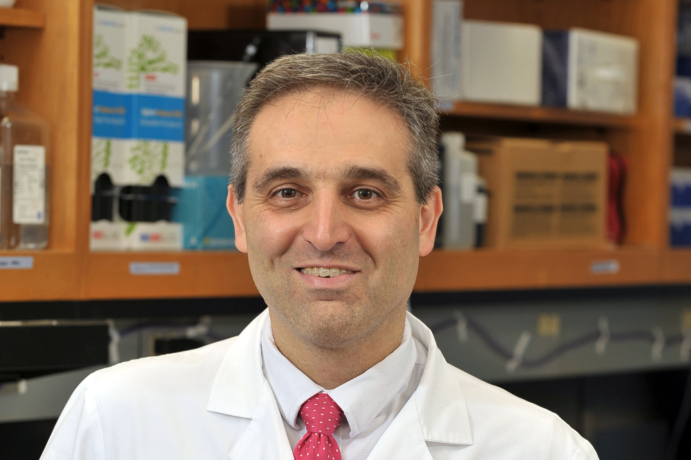 Headshot of Hossein Ardehali, MD, PhD 
