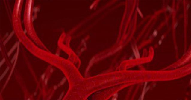 Medical illustration of blood vessels
