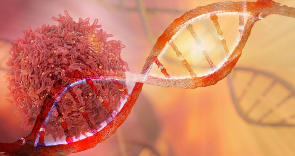 Scientific image, cancer genes