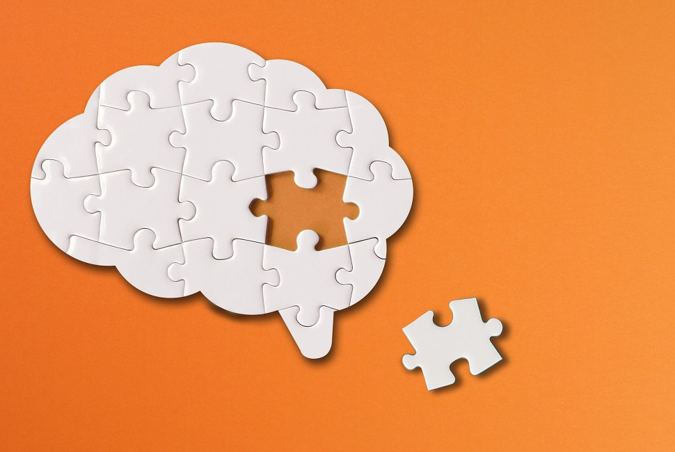 Jigsaw puzzle of brain