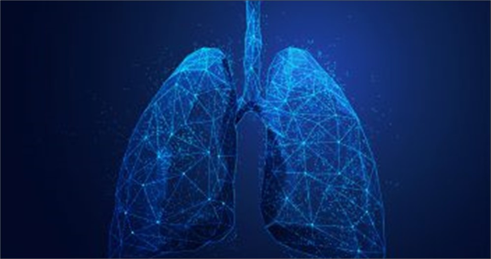 lungs renderung