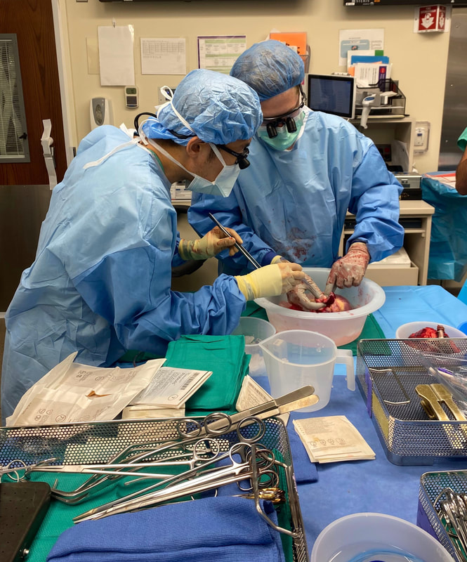Benjamin S. Bryner, MD, Duc Thinh Pham, MD performing surgery