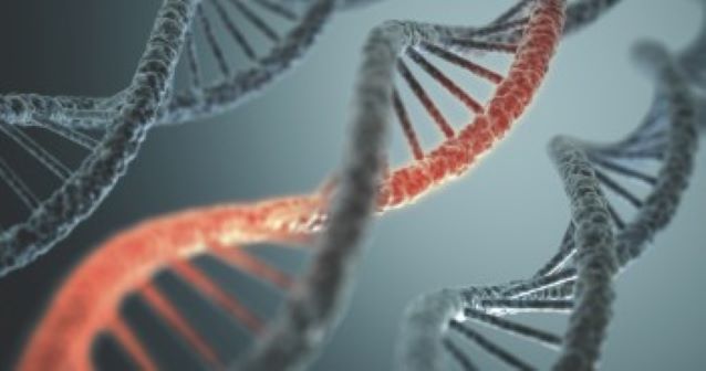 DNA strand illustration 
