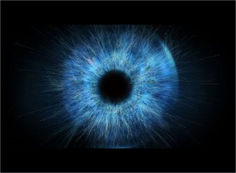 Medical illustration of eye
