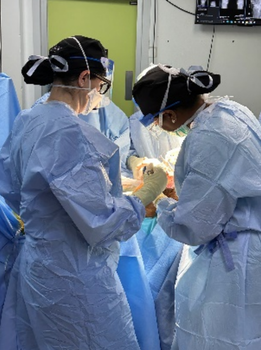 Performing Knee replacement 