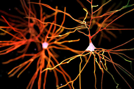 Neurone Illumination photo