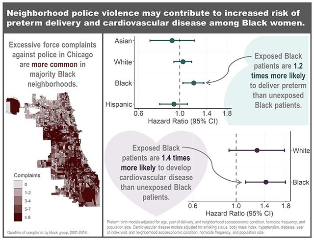Violence Infographic