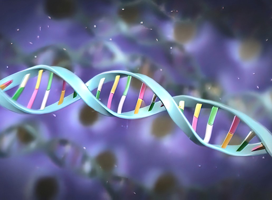 Medical illustration of DNA