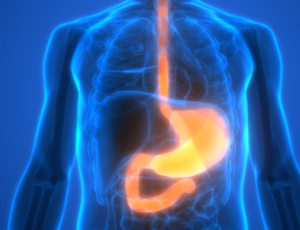 Medical illustration of GI tract with blue background