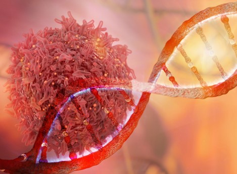 Disorderly DNA Helps Cancer Cells Evade Treatment